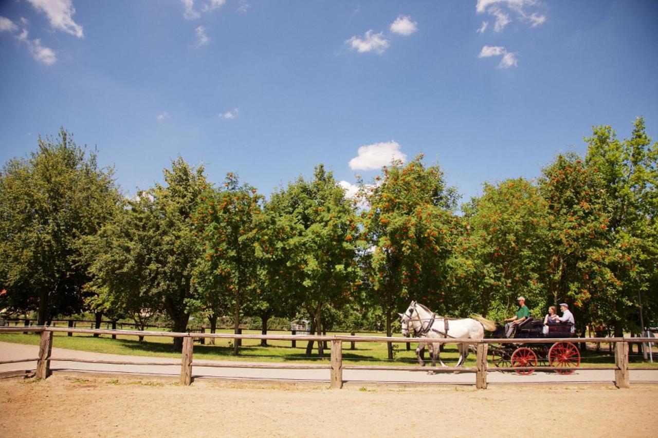 Naturhotel Etzdorfer Hof Schoenburg Εξωτερικό φωτογραφία